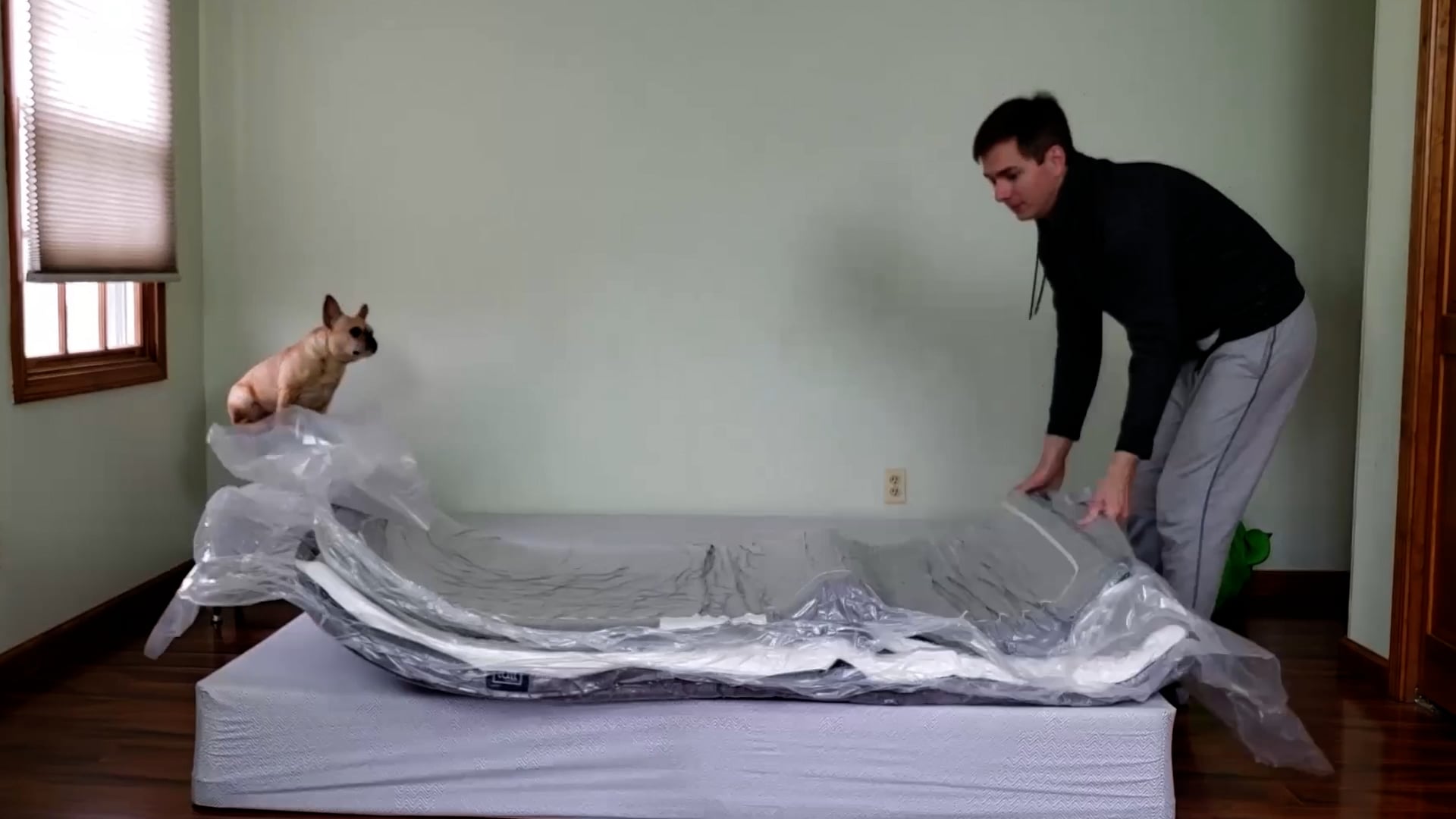 A dog and man with a lull mattress expanding.