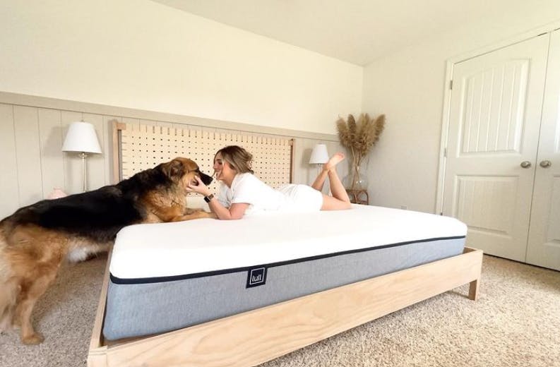 A dog jumping on a Lull mattress.