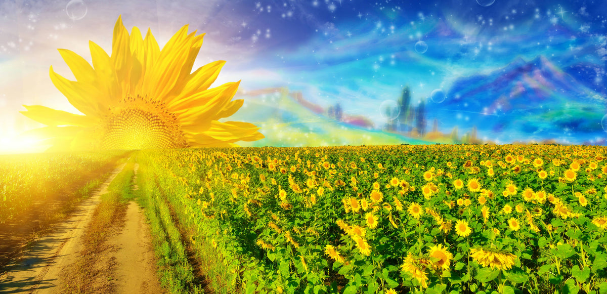 7 of the Most Common Dreams (and What They Mean)
