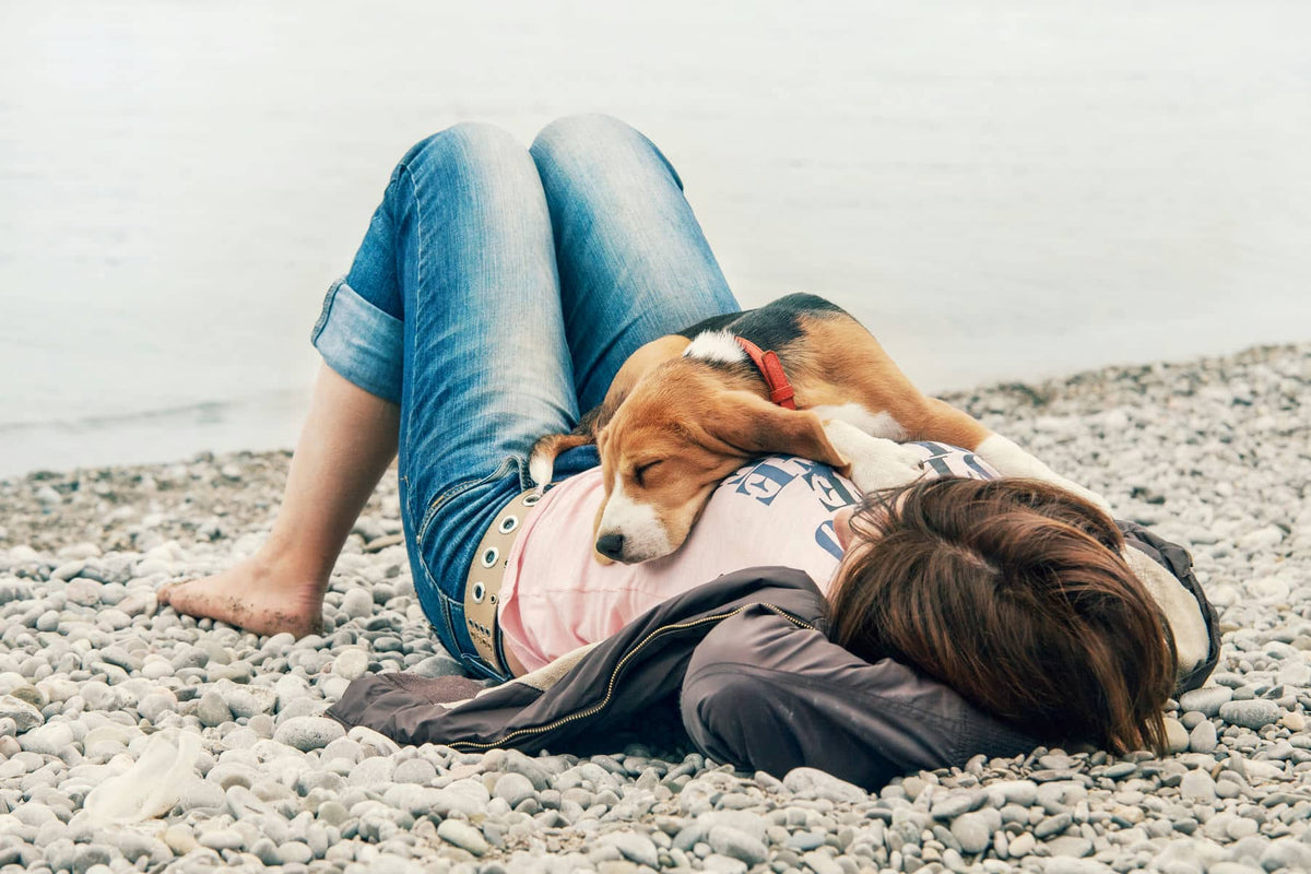 Productive Slumber: How to Be Inspired While You Sleep