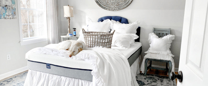 Mattress Wars: Traditional vs. Memory Foam