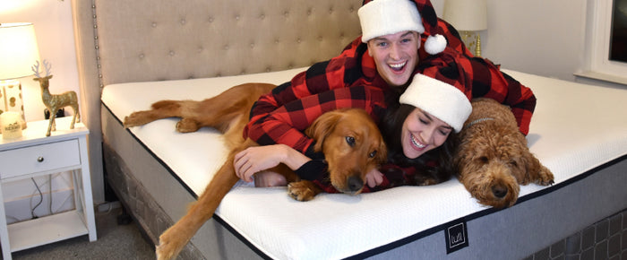 Your Holiday Gift Guide for 2020: 9 of the Best Gift Ideas