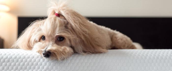 6 Ways to Create a Better Sleep Schedule