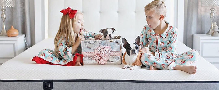 The Ultimate Guide to Have a Stress-Free Holiday Season