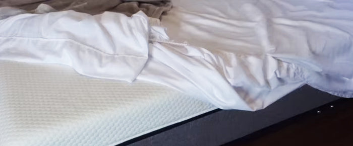 Raya Gets Her Lull On