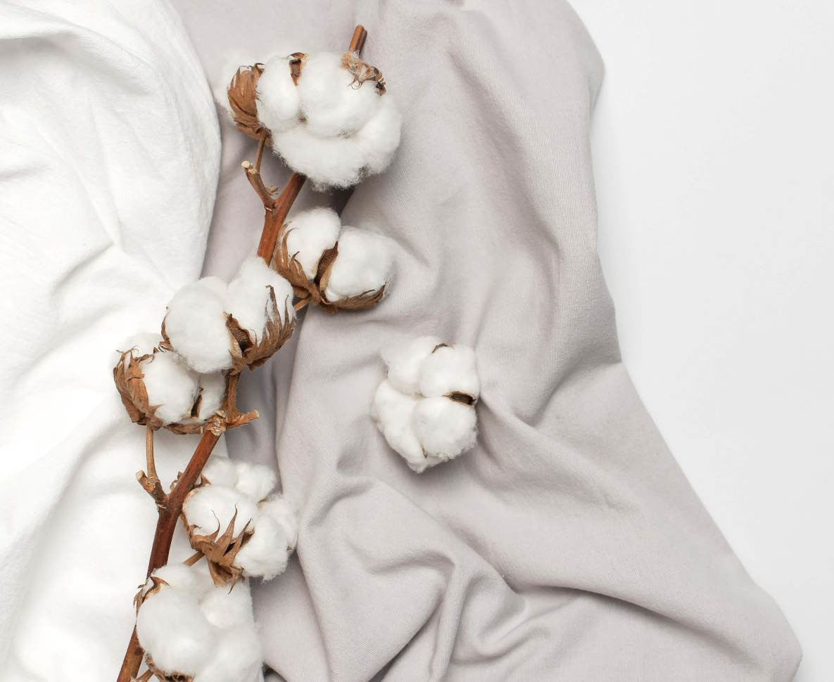 Natural cotton closeup