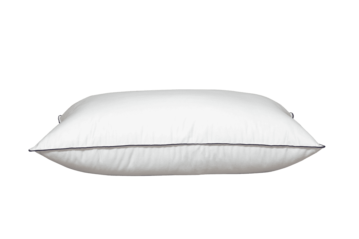 Down Pillow isolated backside